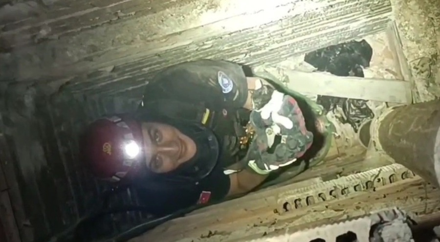 Bursa'da itfaiye apartman boşluğunda mahsur kalan yavru kediyi kurtardı