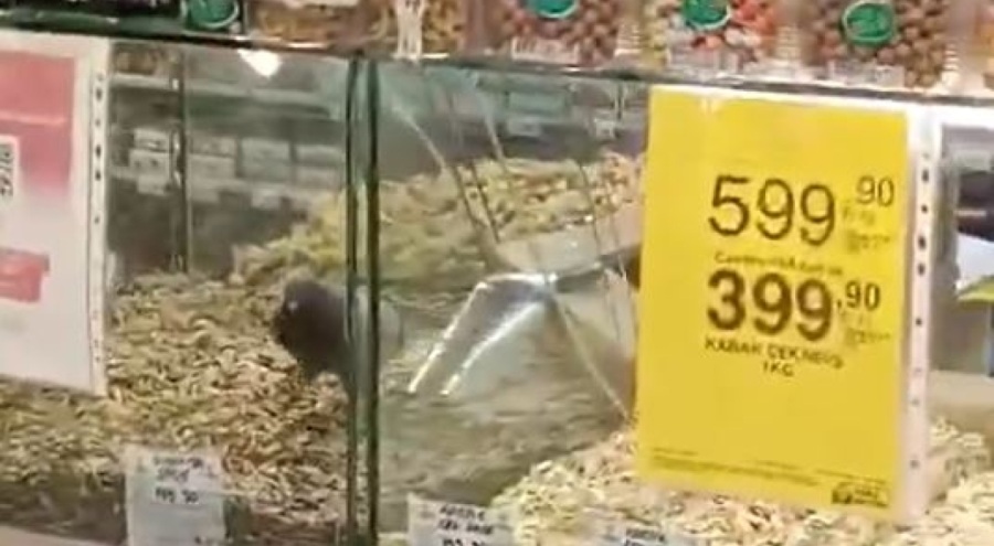 Bursa'da markette skandal görüntü! Güvercinler kuruyemiş reyonunda gezindi