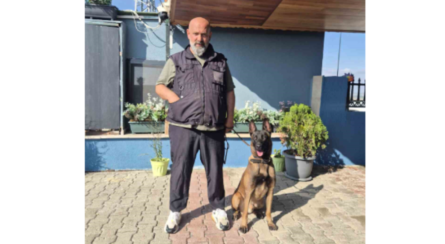 Köpek eğitmeni Eren Ay: "Köpek aslında kazazedeyi değil, oyun arkadaşını arıyor"