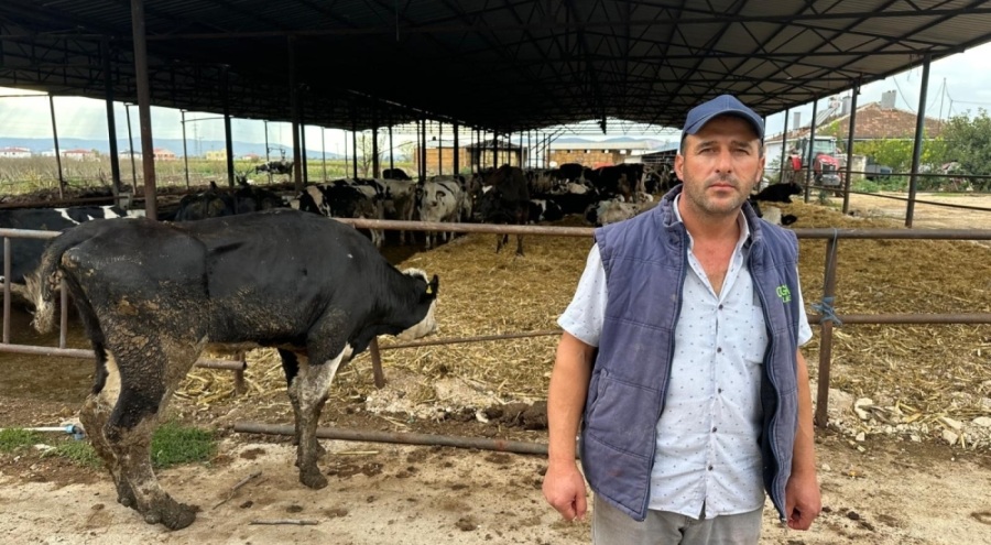 Şap hastalığı Bursa'da hayvancılığı vurdu: "15 yıllık emek 10 günde yok oldu"