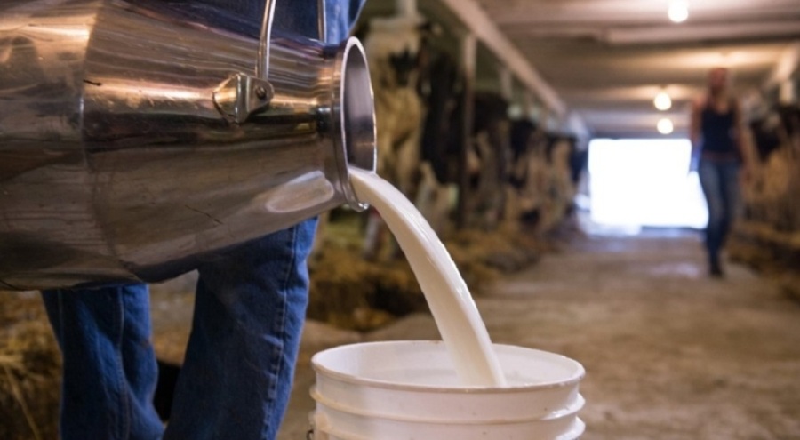 Süt üretiminde yeni dönem! Yağ oranı güncellendi