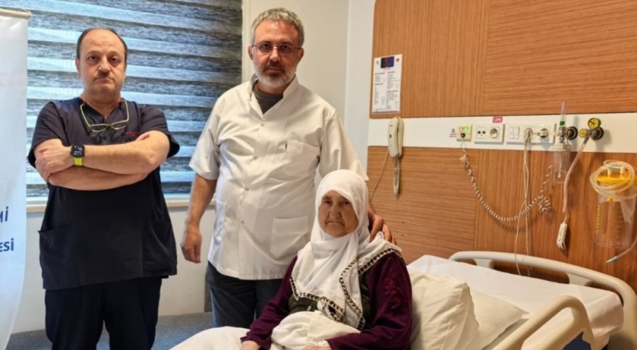 Bursa'da safra kesesinden çıkanlar şoke etti! Tam 213 adet...