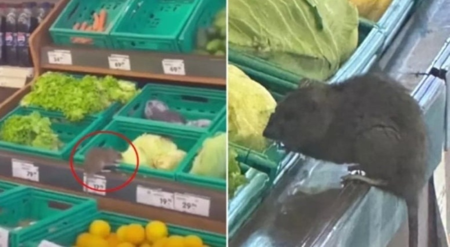 Bursa'da market zincirinin manav reyonunda fare görüldü