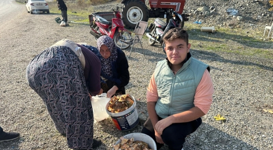 Bursa'da okul harçlığını mantardan çıkarıyor