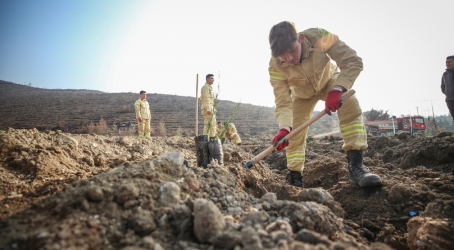 11 Kasım Milli Ağaçlandırma Günü'nde Bursa'da 3 milyon 250 bin fidan toprakla buluşacak