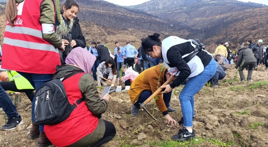 Bursa'da yanan ormanlar Milli Ağaçlandırma Günü'nde yeniden yeşeriyor