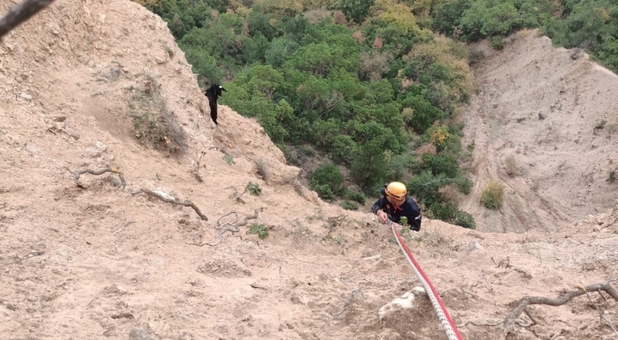 Bursa'da kayalıkta mahsur kalan keçi 2 gün sonra kurtarıldı