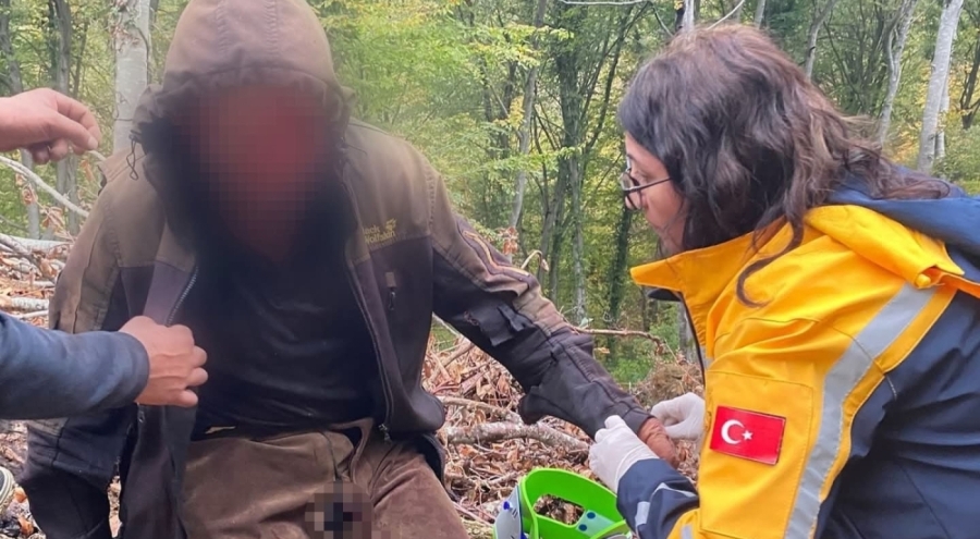 Ormanda ayı saldırısı: Yaralı vatandaş güçlükle kurtarıldı