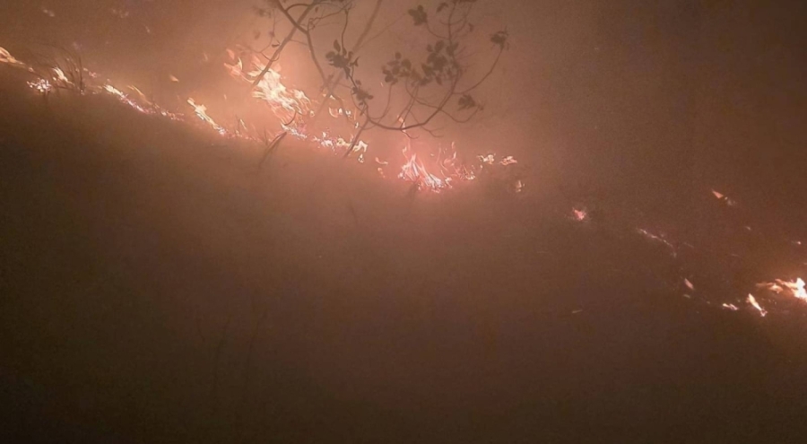 Hatay'da ormanlık alanda yangın