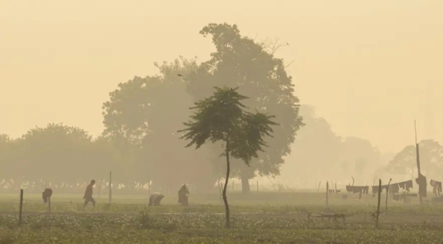 Gökyüzünde zehir alarmı! Hastalıklar kapıda, inşaatlar yasaklandı