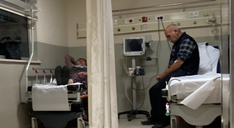 Bursa'da mantar yiyen 7 kişi hastanelik oldu