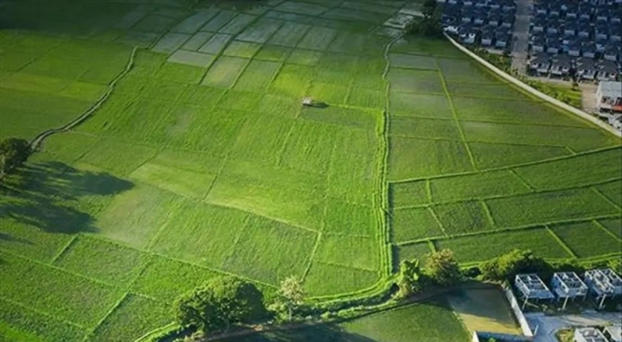 Arsa-tarla fiyatlarının en çok arttığı ve azaldığı iller