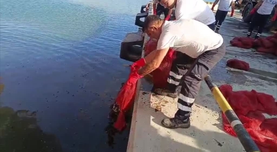 İzmir'de kaçak avlanan 27 ton midye ele geçirildi