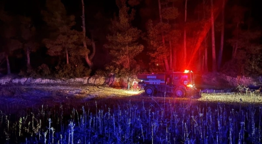 Muğla'da çıkan orman yangını kontrol altına alındı