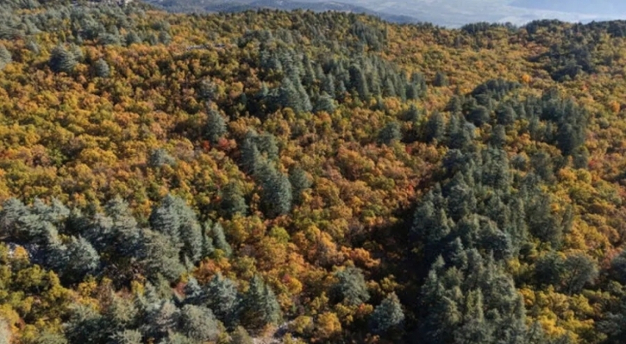 Dünyada eşi yok: İzinsiz girmenin cezası 557 bin TL