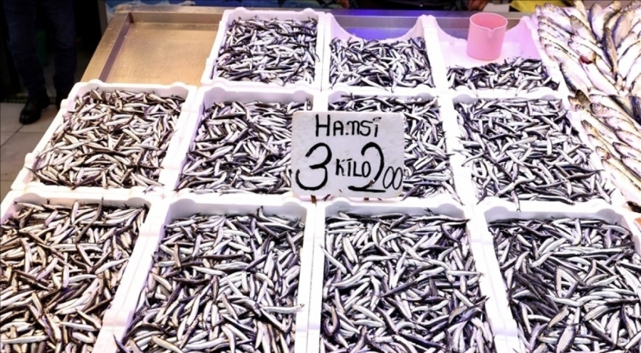 Trabzon balıkçıları: "Hamsi bol, fiyatlar uygun"