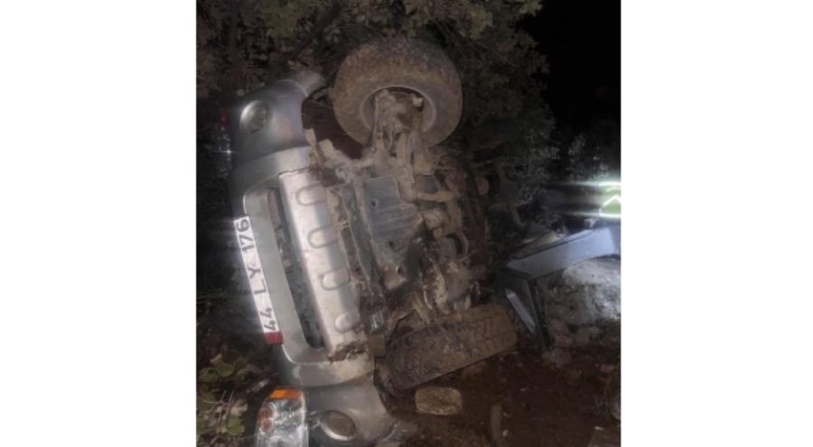 Mardin'de devrilen araçta 2'si çocuk 6 kişi yaralandı