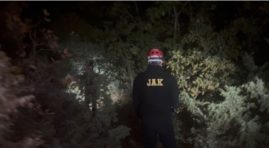 Bursa'da ormanda kaybolan şahıs sağ olarak bulundu