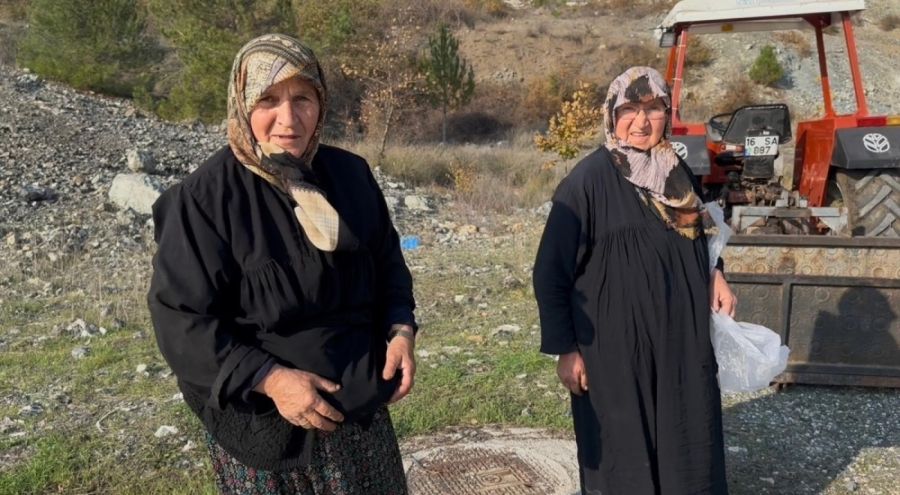 Bursa'da 70 yaşındaki kadınların dağ mücadelesi: "Her yer mantar sanıyorlar"