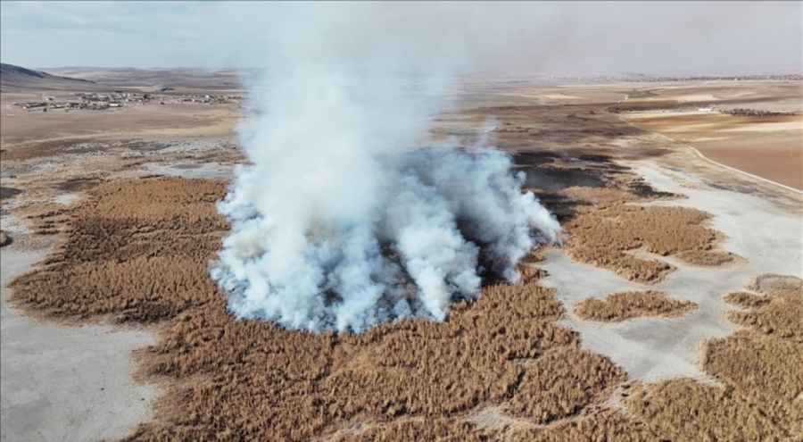 Konya'da kuruyan Gökgöl sazlıkları 2 gündür yanıyor