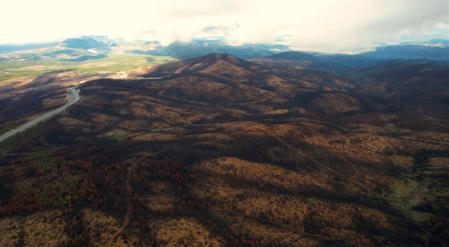 953 hektar kül olmuştu, Bursa'yı yeniden yeşertmek için ilk adım atıldı