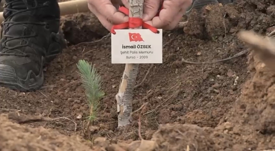 Bursa'da şehitler için fidan dikildi
