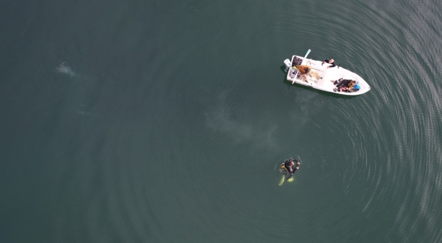 Sapanca Gölü'nde tedirginlik yaratan kabarcıklar hem su altından hem de havadan görüntülendi