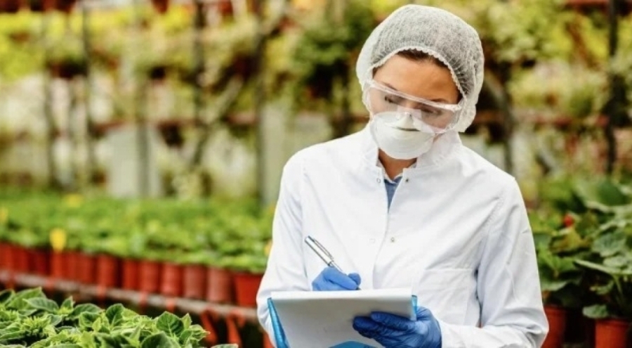 Türkiye'nin gıda güvenliği alarm veriyor: 40 bin kişi zehirlendi