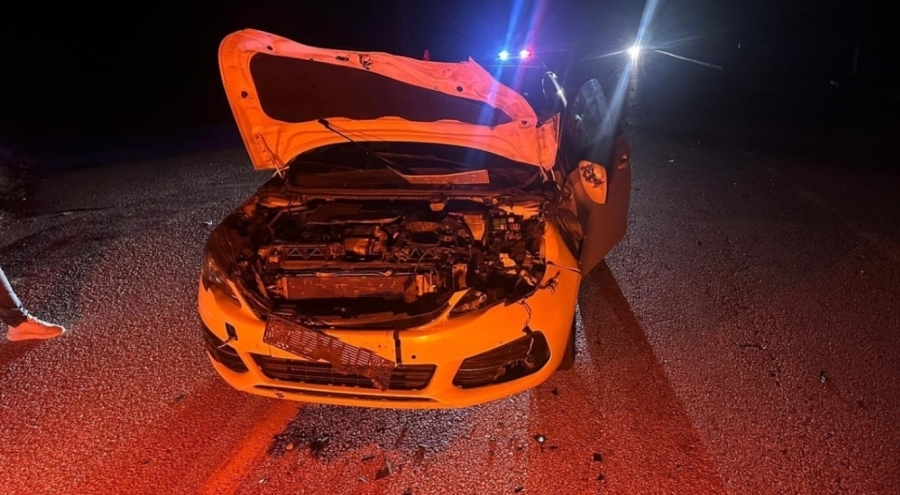 Otomobil danaya çarptı: İki yaralı