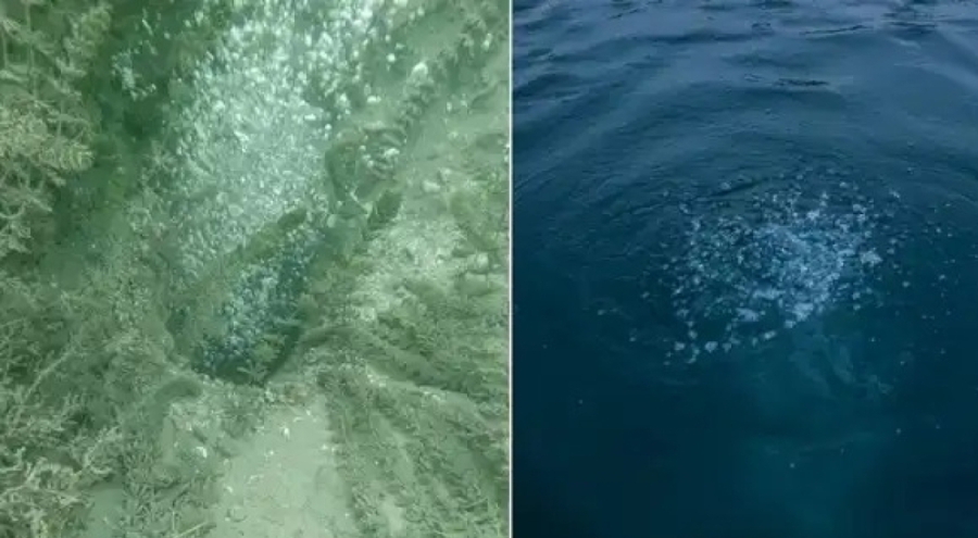 Sapanca Gölü'nde tedirgin eden görüntü: Depremin habercisi olabilir mi?