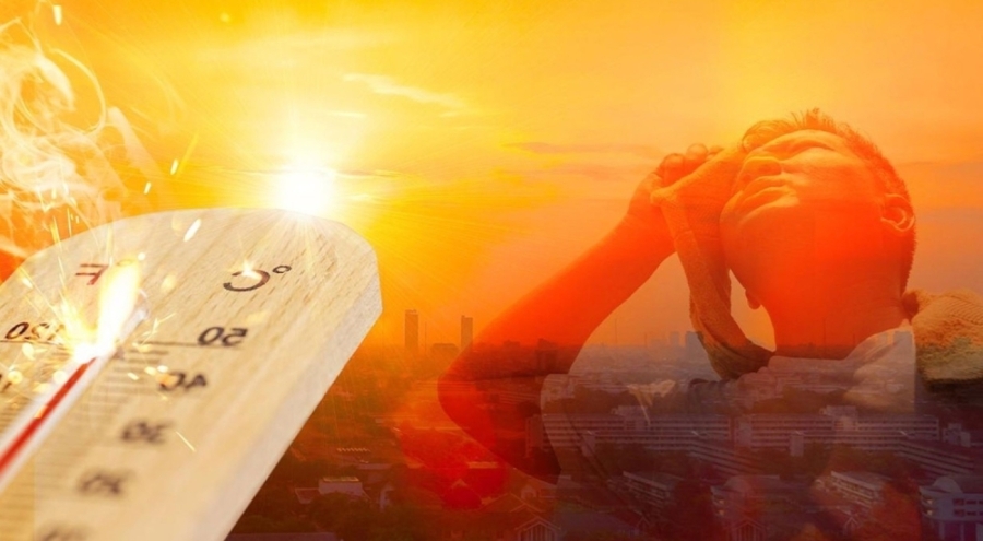 Küresel sıcaklık alarmı: BM açlık ve felaketi öngörüyor