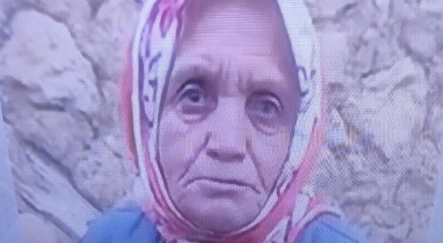 Mantar toplamak için ormana giden yaşlı kadın ölü bulundu
