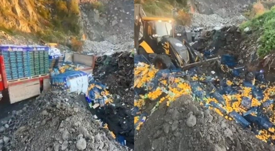 Zirai ilaç kalıntısı bulunan tonlarca mandalina imha edildi