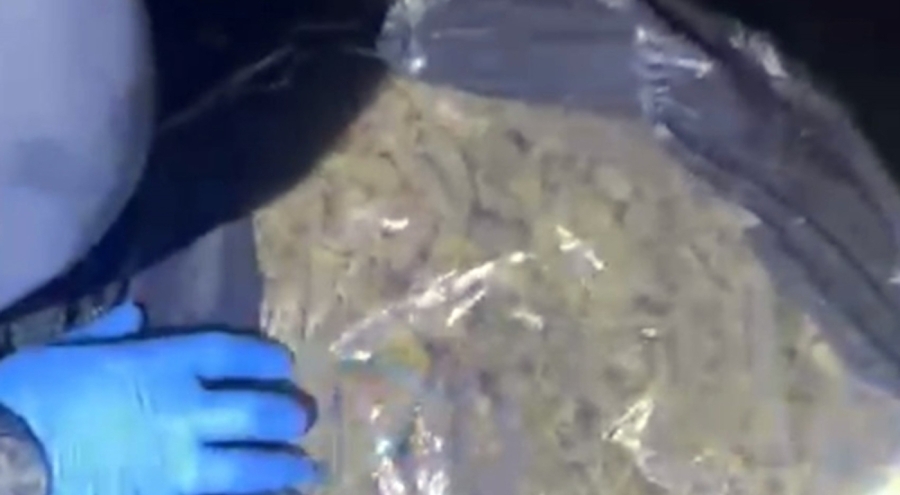 Muğla'da piyasa değeri 4 milyon TL olan uyuşturucu ele geçirildi