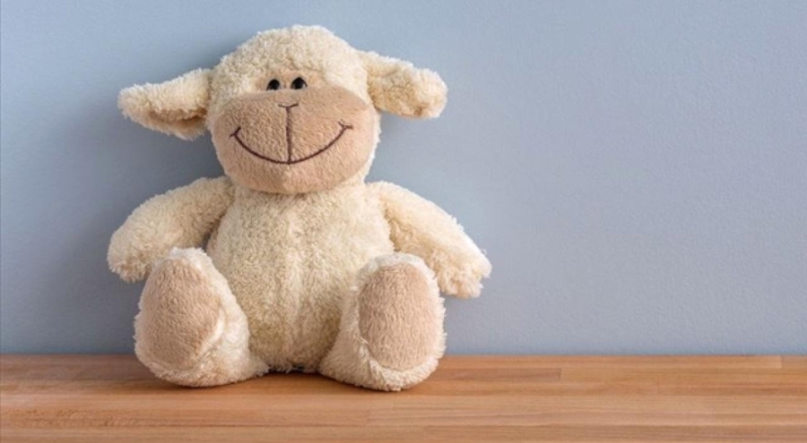 İthal edilecek oyuncaklara 'künye' denetimi yapılacak