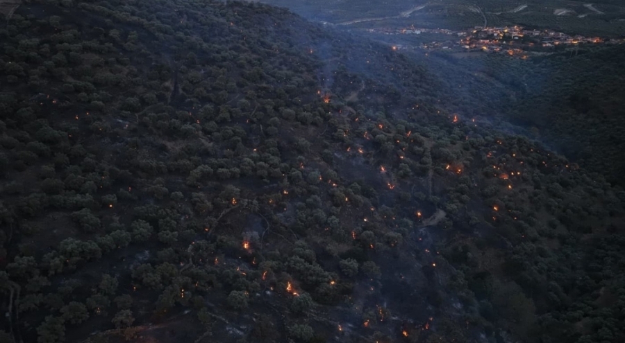 Aydın Bozdoğan'da yangını büyük ölçüde kontrol altına alındı