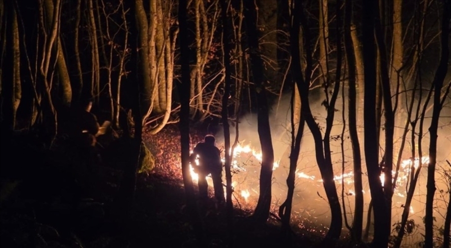 Ordu'da çıkan örtü yangınına müdahale sürüyor