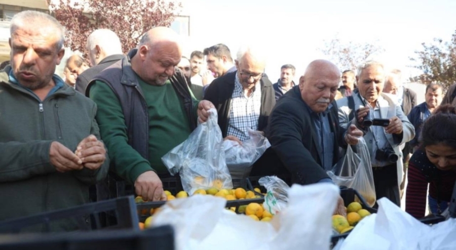 Hatay'da mandalinanın fiyatı 2 TL'ye düşünce tonlarca ürünü vatandaşlara ücretsiz dağıttılar