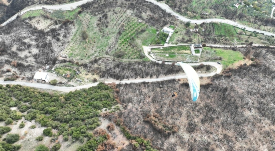 Bursa'da orman yangınında zarar gören alanlara tohum serpildi