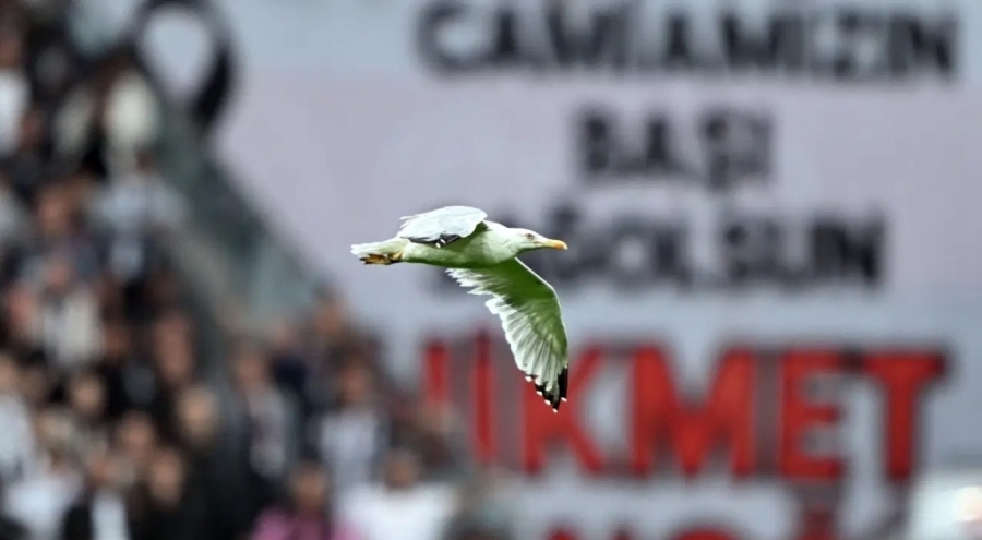 Dolmabahçe'de sürpriz misafir Süleyman Seba'nın sözünü akıllara getirdi