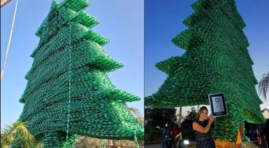 Pet şişeden sedir ağacıyla  Guinness Rekorlar Kitabı'na girdi