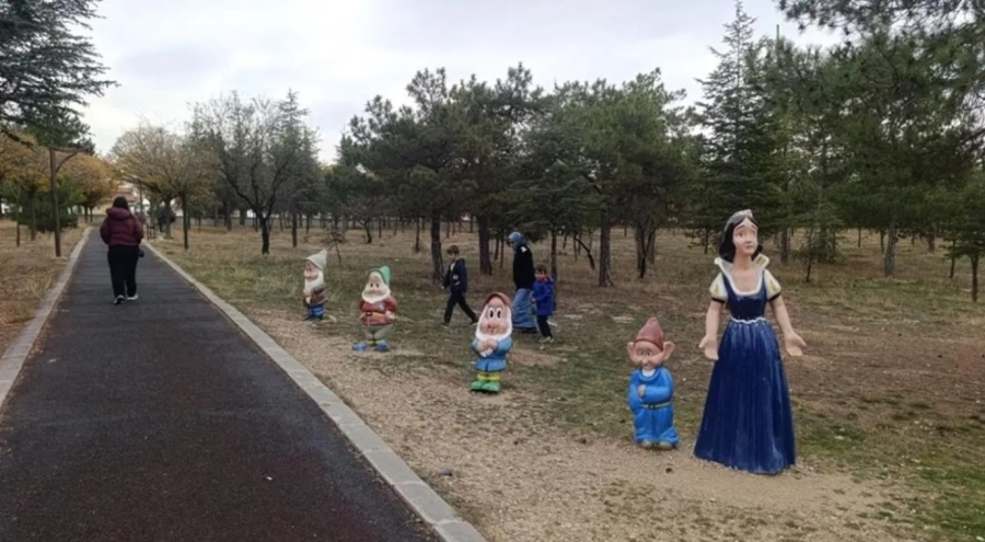 Afyonkarahisar'da Pamuk Prenses'in cücelerini çaldılar