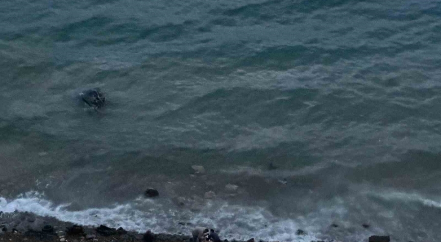 Muğla'da virajı alamayan araç denize uçtu: 1 yaralı