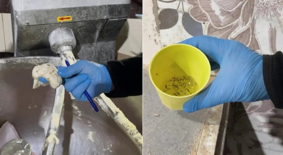 Fırın denetiminde mide bulandıran görüntüler! İki işletme mühürlendi...