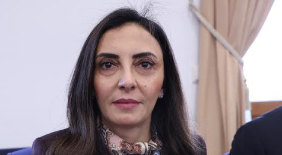 CHP Bursa Milletvekili Nurhayat Altaca Kayışoğlu: "Şehit yakınları, gaziler ve askeri personelin özlük hakları gecikemez"