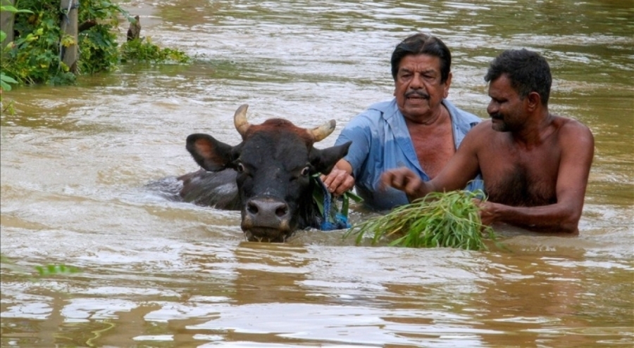 Sri Lanka'da şiddetli yağışların sebep olduğu afetlerde 47 kişi öldü