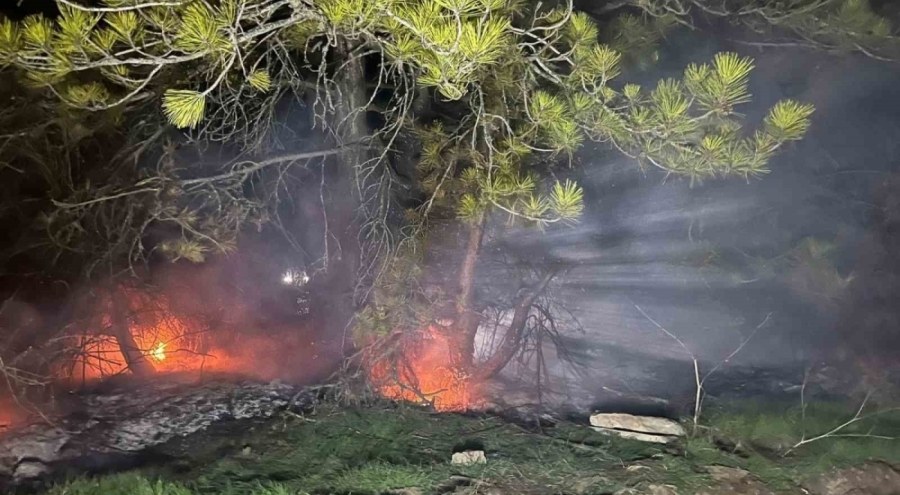 Bolu'da ormanlık alanda yangın