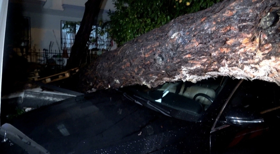 Antalya'da 10 metrelik ağaç devrildi: iki araç ve bina zarar gördü