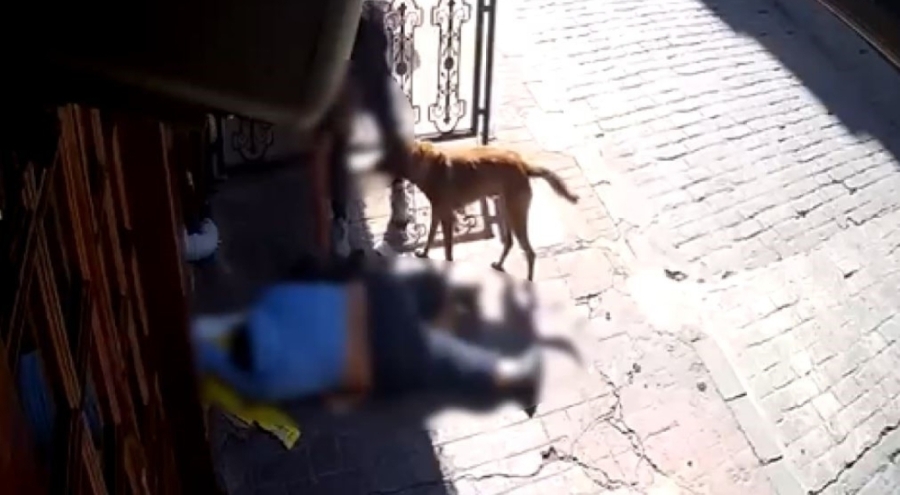 İstanbul'da "pes" dedirten olay: Sara nöbeti sonrası bayılan adamın telefonunu çaldılar