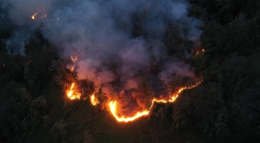 Artvin'de örtü yangınına müdahale sürüyor